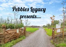 Doggie Days Out, Weekend in Nantwich