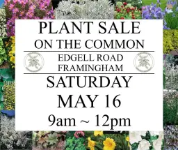 Plant Sale on the Center Common
