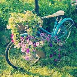 Mother's Day Weekend Market