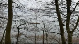 Vandretur i Hareskoven og Frederiksdal (11 km)