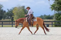 NERHA Ranch Riding & Pattern Clinic with Kristy Smith