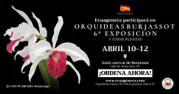 Ecuagenera participará en 6ª Feria Internacional de la Orquídea y Otras Plantas en Burjassot