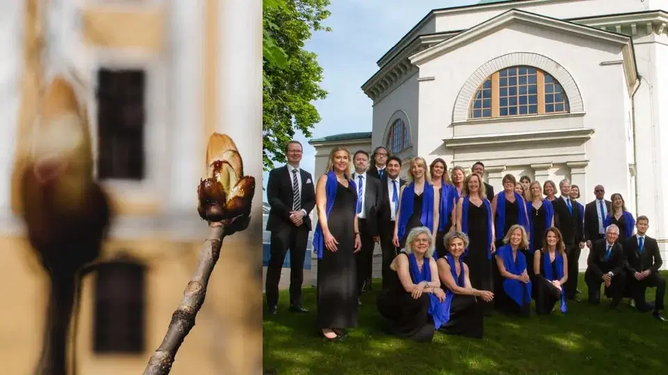 Valborgsmässokonsert