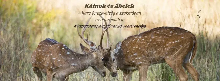 Káinok és Ábelek - Harc és szövetség a szakmában és a terápiában. A Pszichoterápia 20. konferenciája