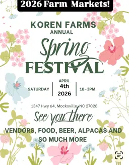 Koren Farms Annual Spring Festival!