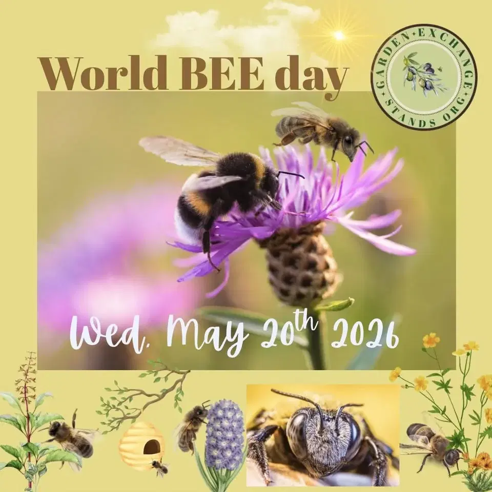 World BEE Day