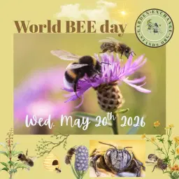 World BEE Day