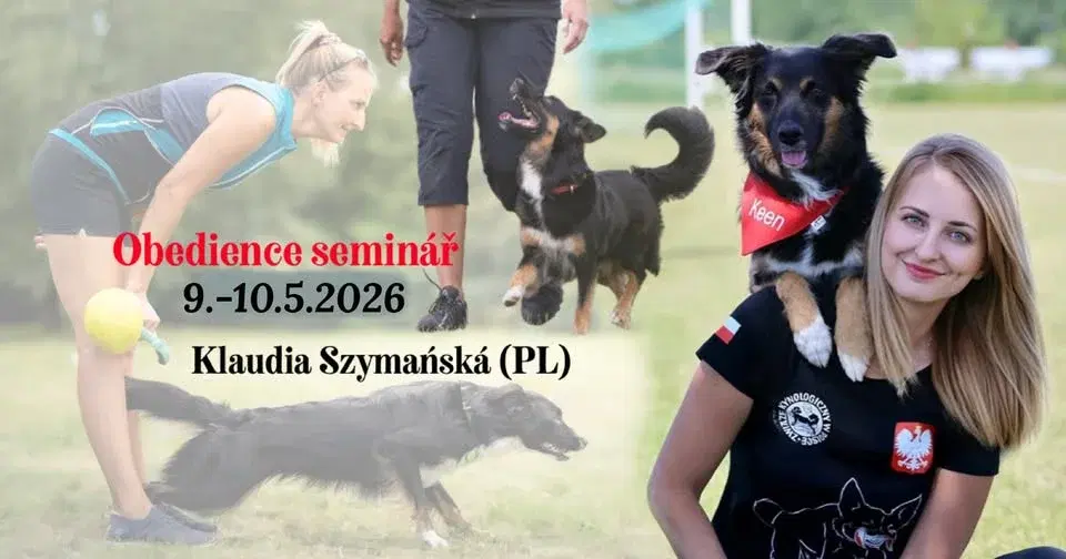 Seminář Obedience s Klaudii Szymanská (PL)
