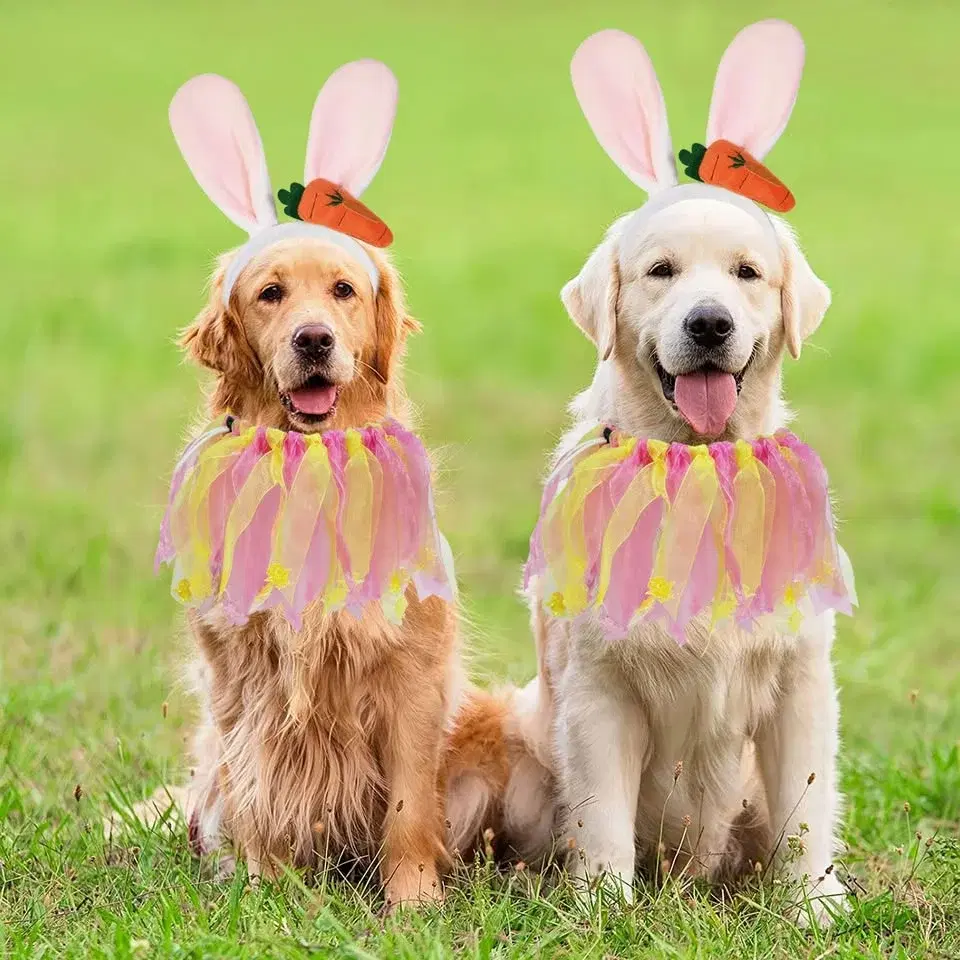 Egg Hunt and Pet Event