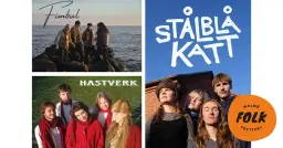 Fimbul, Hastverk och Stålblå Katt - Gemensam konsert