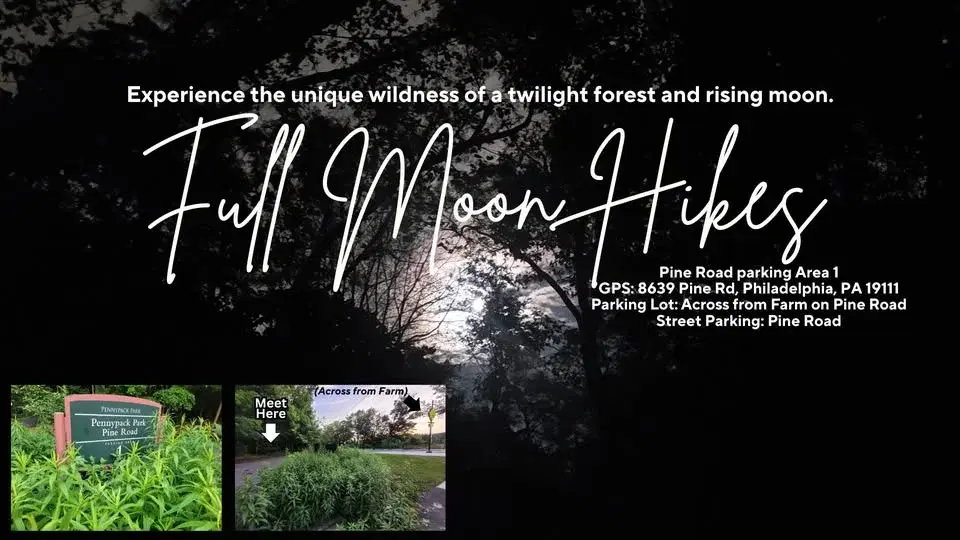 Strawberry Moon at Pine Road