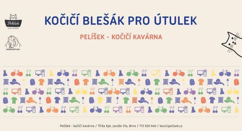 34. Kočičí blešák