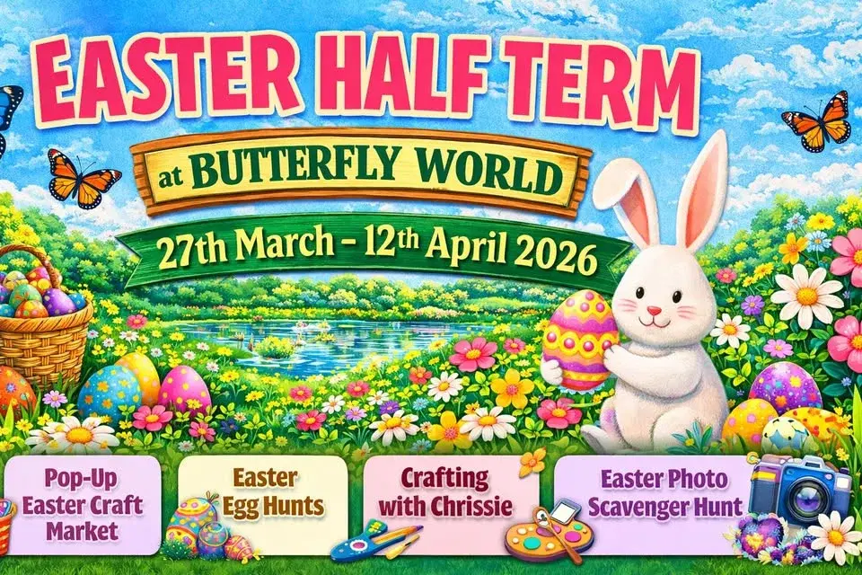 Easter Half Term at Butterfly World