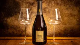 DELPHINE CAZALS I KØBENHAVN