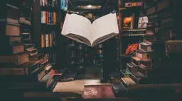 En dörr på glänt... Scener om hopp och förtvivlan