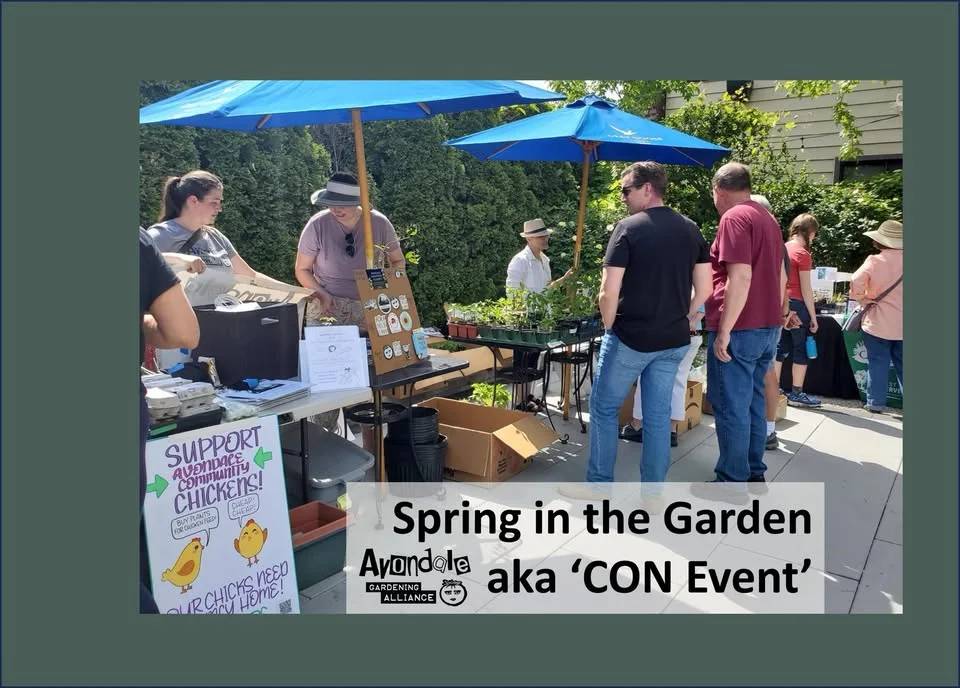 Spring in the Garden at Chief O'Neill's
