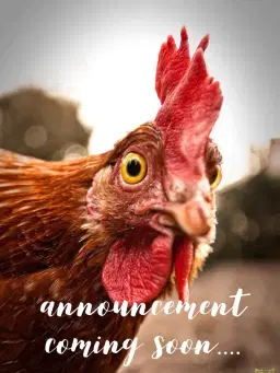 2026 Central Alberta Critter and Craft Sale