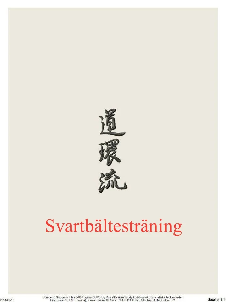 "Svartbältesträning Yudanshakai"