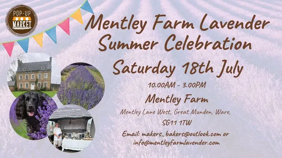 Mentley Farm Lavender Summer Celebration