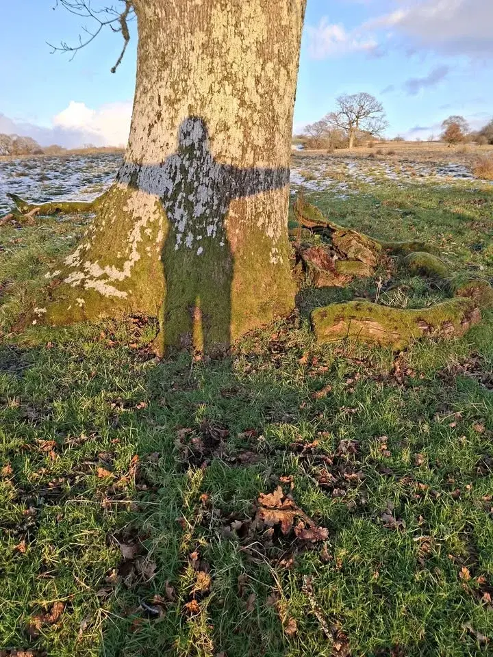 Nature Journaling & Wellbeing Wednesday Workshops | Gweithdai Dydd Mercher Siwrnali Natur a Llesiant