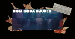 Synth After Work || Dom goda djuren - live!