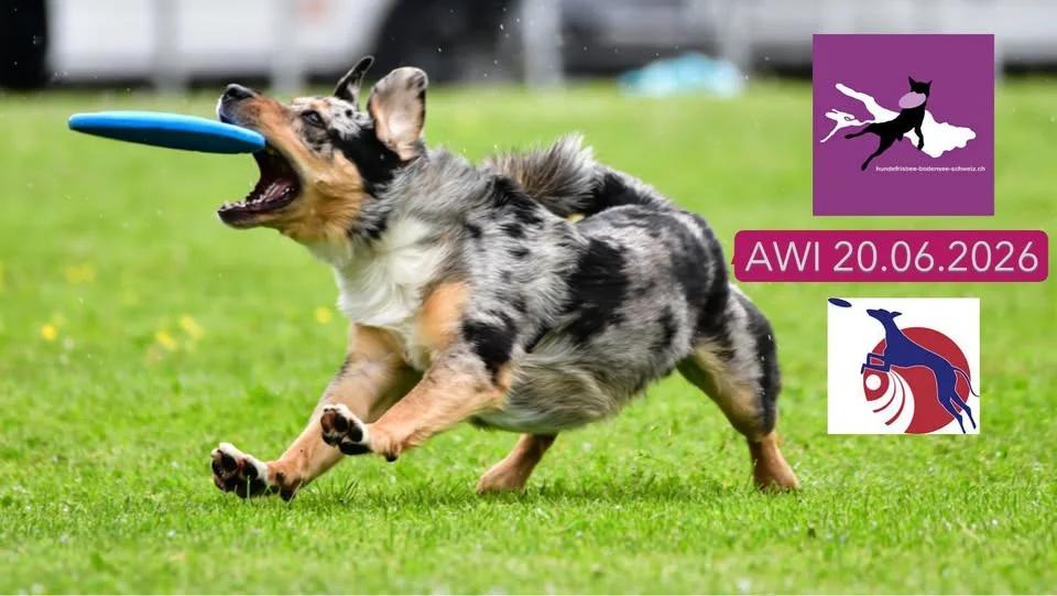 AWI
