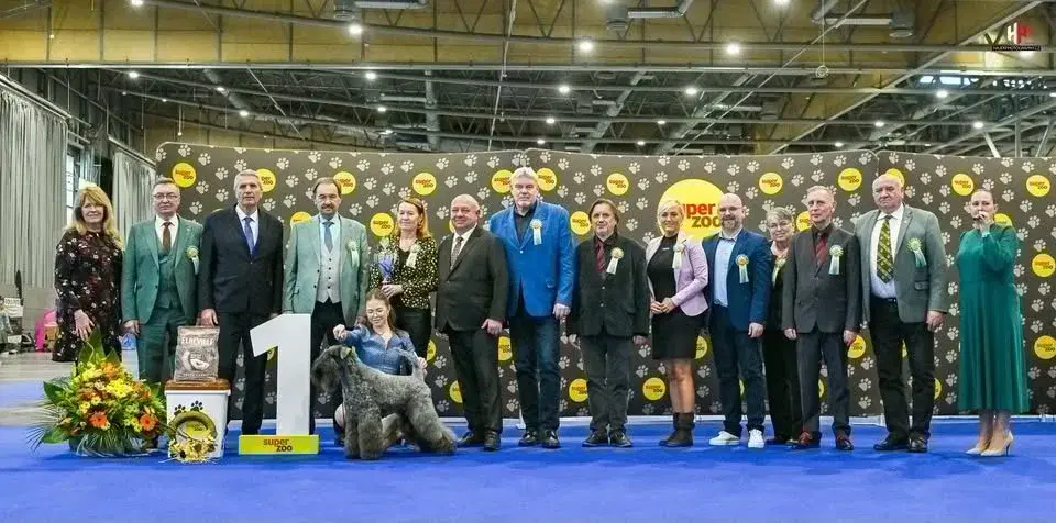 Národní výstava psů Špilberka Brno