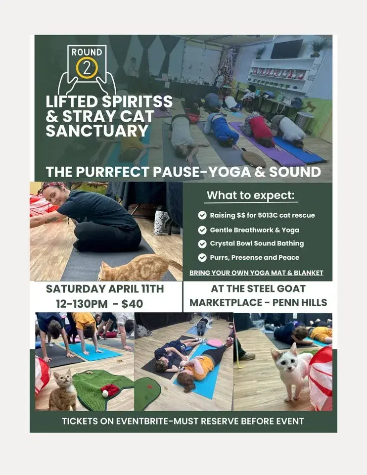 The Purrfect Pause-Yoga & Sound