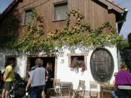 Za burčákem do Strachotína 2026