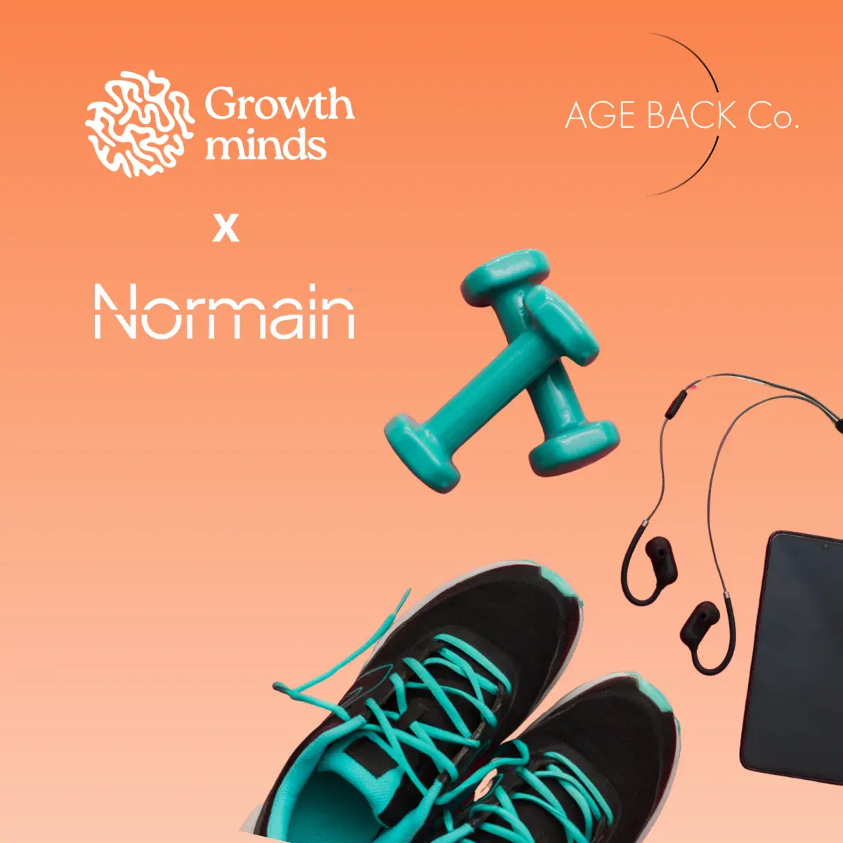 Sustainable Performance for Founders, with Dennis Landfors from Normain (at Age back co.)