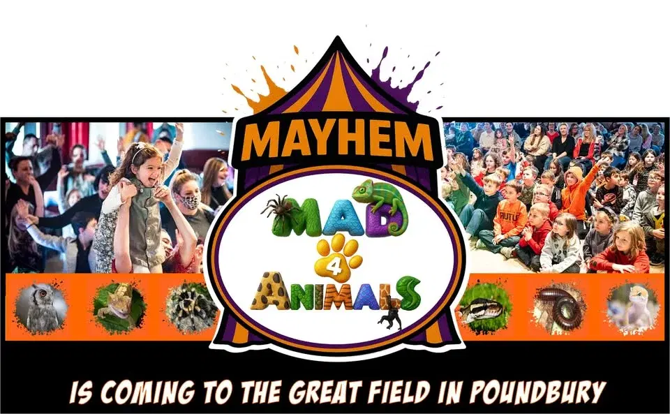 Mayhem of Mad4Animals the Great Field Poundbury