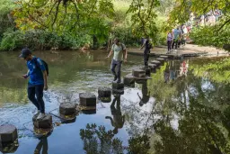 Hiking: Box Hill & North Downs – Sat 29 Nov 2026