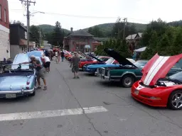 3rd Annual Mid Summer BBQ Cook-Off & Car Show