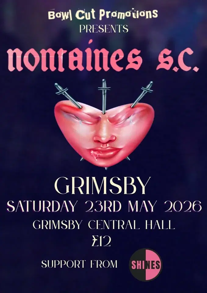 Fontaines D.C ( Tribute )