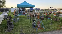 Spring Thyme Plant & Herb Faire