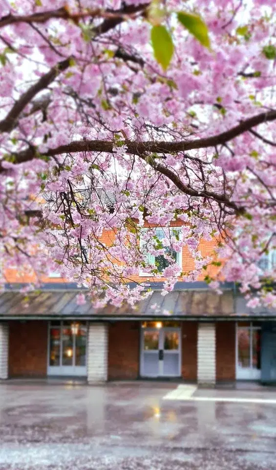 Gubbängens barnklädesbyte