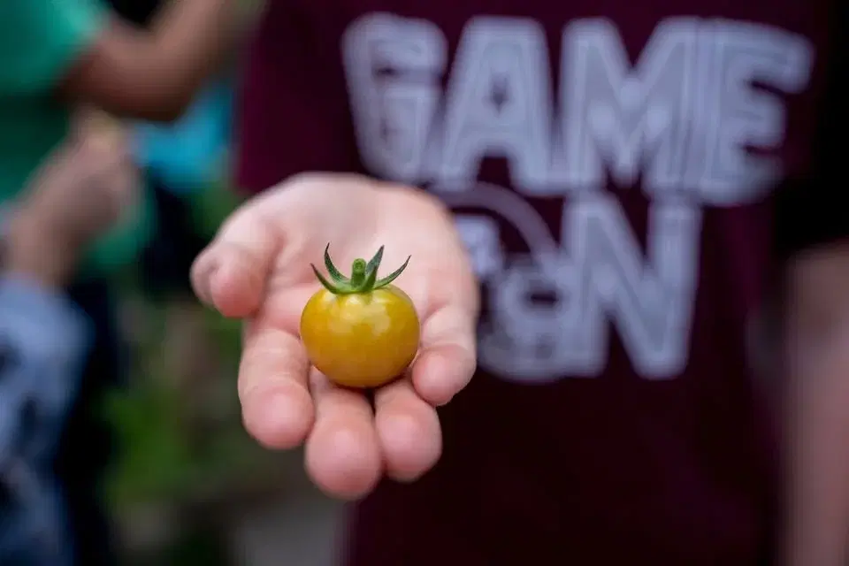 Learn, Grow, Eat, & Go! Camp