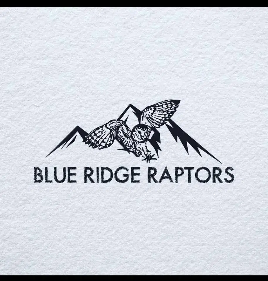 Raptor Show by Blue Ridge Raptors