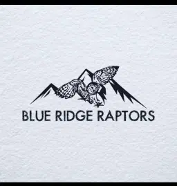 Raptor Show by Blue Ridge Raptors