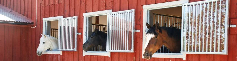 Stadsdelskollen: Vad händer i Göteborg den 19 februari 2026?