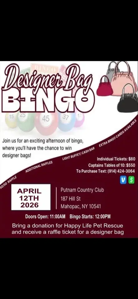 Pocketbook Bingo,/buffet