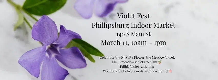 Violet Fest @ PFM Indoor Winter Market