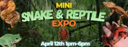 Mini Snake & Reptile Expo