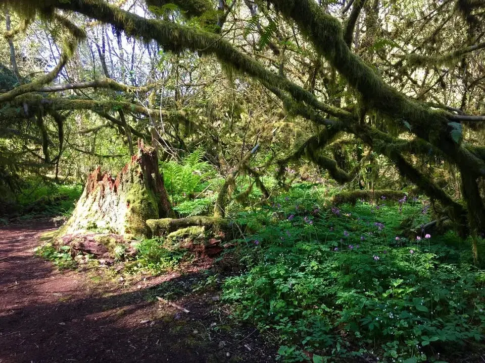 Lewis Creek Park Hike