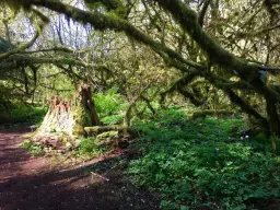 Lewis Creek Park Hike