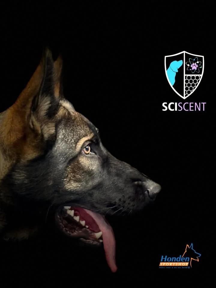 Sci Scent 2026