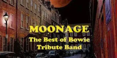 Moonage - The Best of Bowie