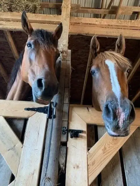 2026 Inclusive Summer Camp