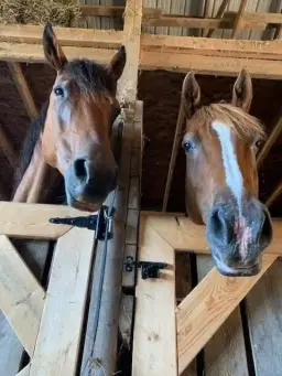 2026 Inclusive Summer Camp