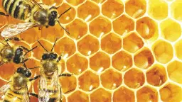 Livet på jobbet: släpp för Fronesis nr 88–89